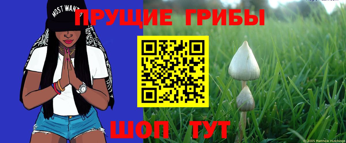 Псилоцибиновые грибы Psilocybine cubensis  Вход с VPN  Комсомольск-на-Амуре  Псилоцибиновые грибы Magic Shrooms 